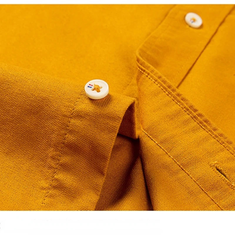 Spring and Autumn New Pure Cotton Stand Collar Oxford Spun Long Sleeve Shirt Japanese Casual No-Iron Fashion Men's Clothing